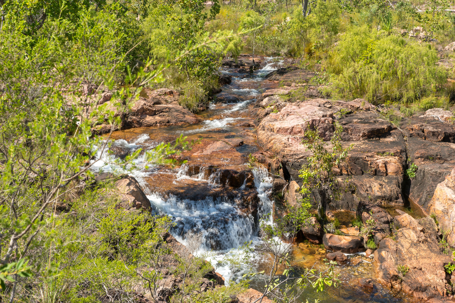 Litchfield National Park - Tolmer Wasserfälle